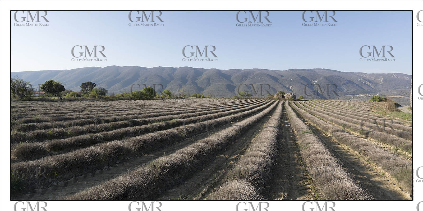 Product: in house made quality print on 8 ultrachome colors Epson ink Jet printer.Available sizes: . 50 x 100 cm. 100 x 200 cmAvailable papers: . Standard 250 gr glossy paper print, black streak, white margin, no signature. Top quality glossy 290 gr. paper, black streak, white margin, checked and signed by the author. Fine Art print (signed, numbered, stamped, registered) on demand. Other supports (Canvas, Acrylic, Metal) on demandPackaging: cylindric reinforced tubeShipping options: regular mail or Shipping companyClick on the basket icon to select your options and start the online ordering process