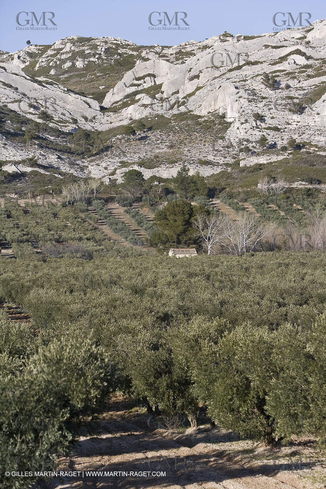 16 02 2008 - Les Baux de Provence (FRA, 13) - Alpilles hills landscapes