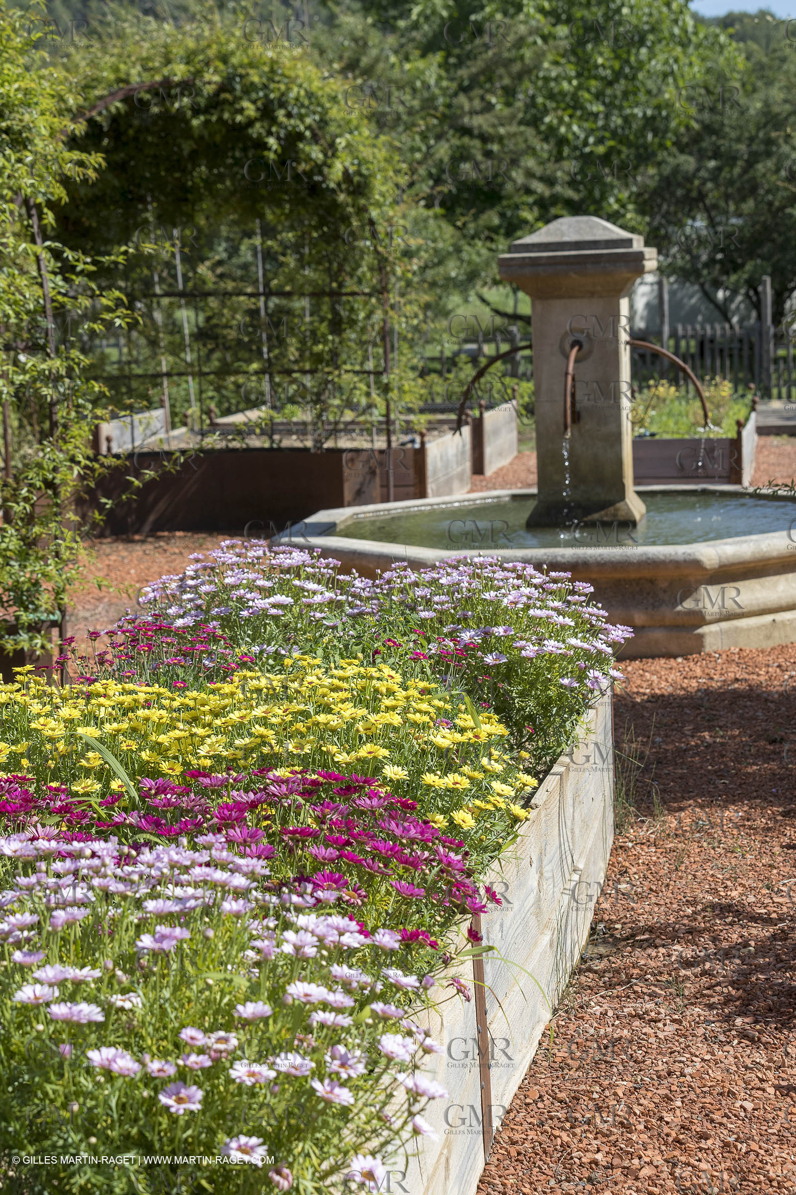 22 06 2018, Saint-Saturnin les Apts (FRA,84), Domaine des Andéols