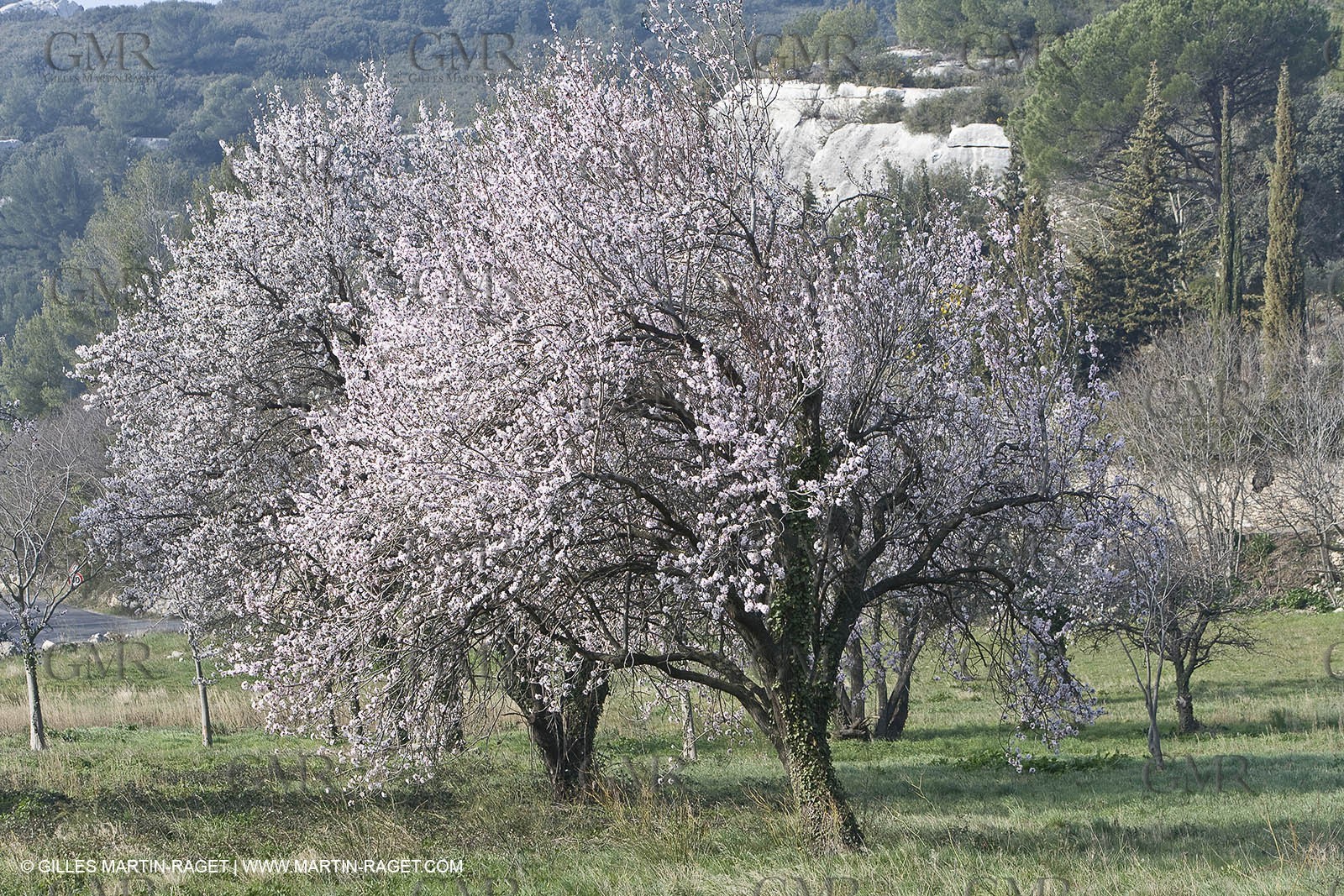 16 02 2008 - Les Baux de Provence (FRA, 13) - Alpilles hills landscapes