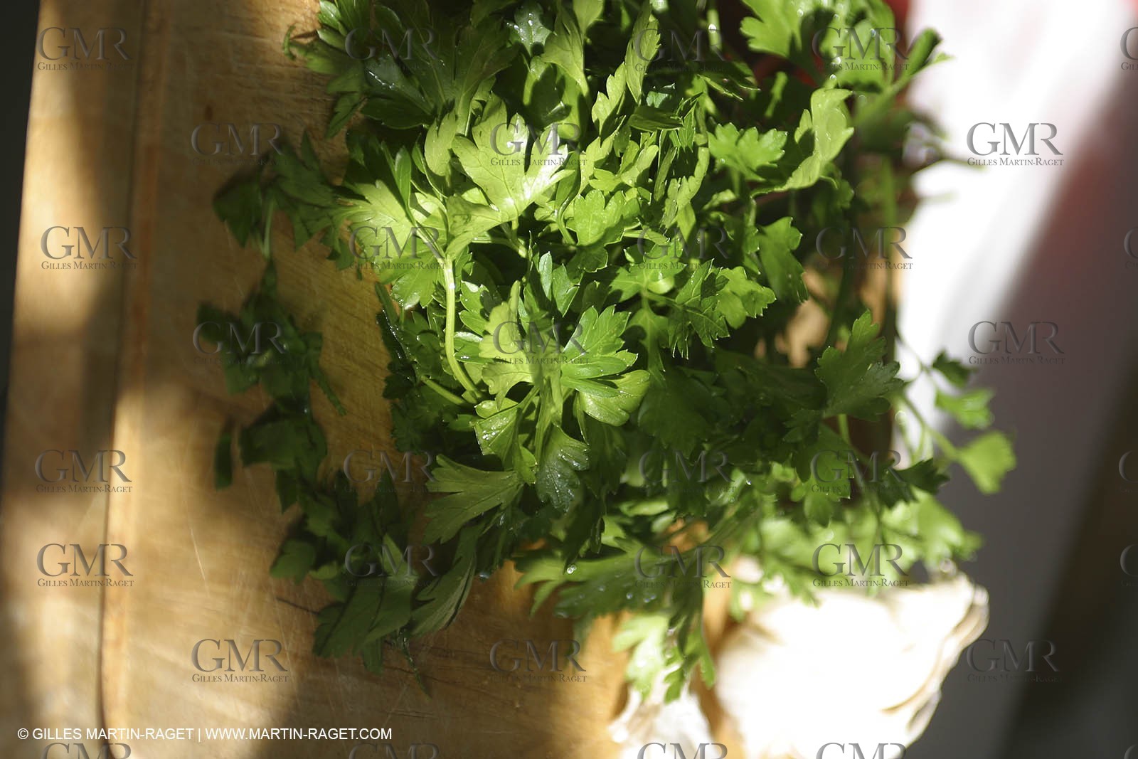 Cooking herbes from Provence - Garlic and Parsley