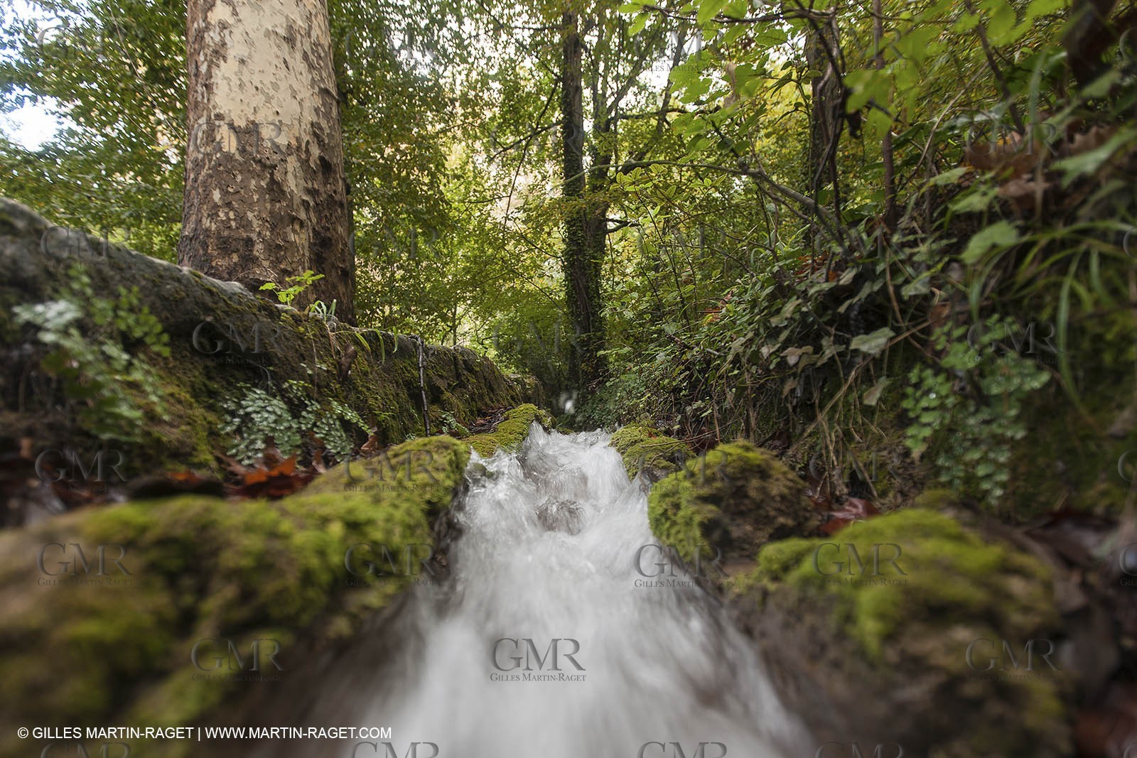23 10 2012 - Gemenos (FRA) - Départemental Park of Saint Pons valley