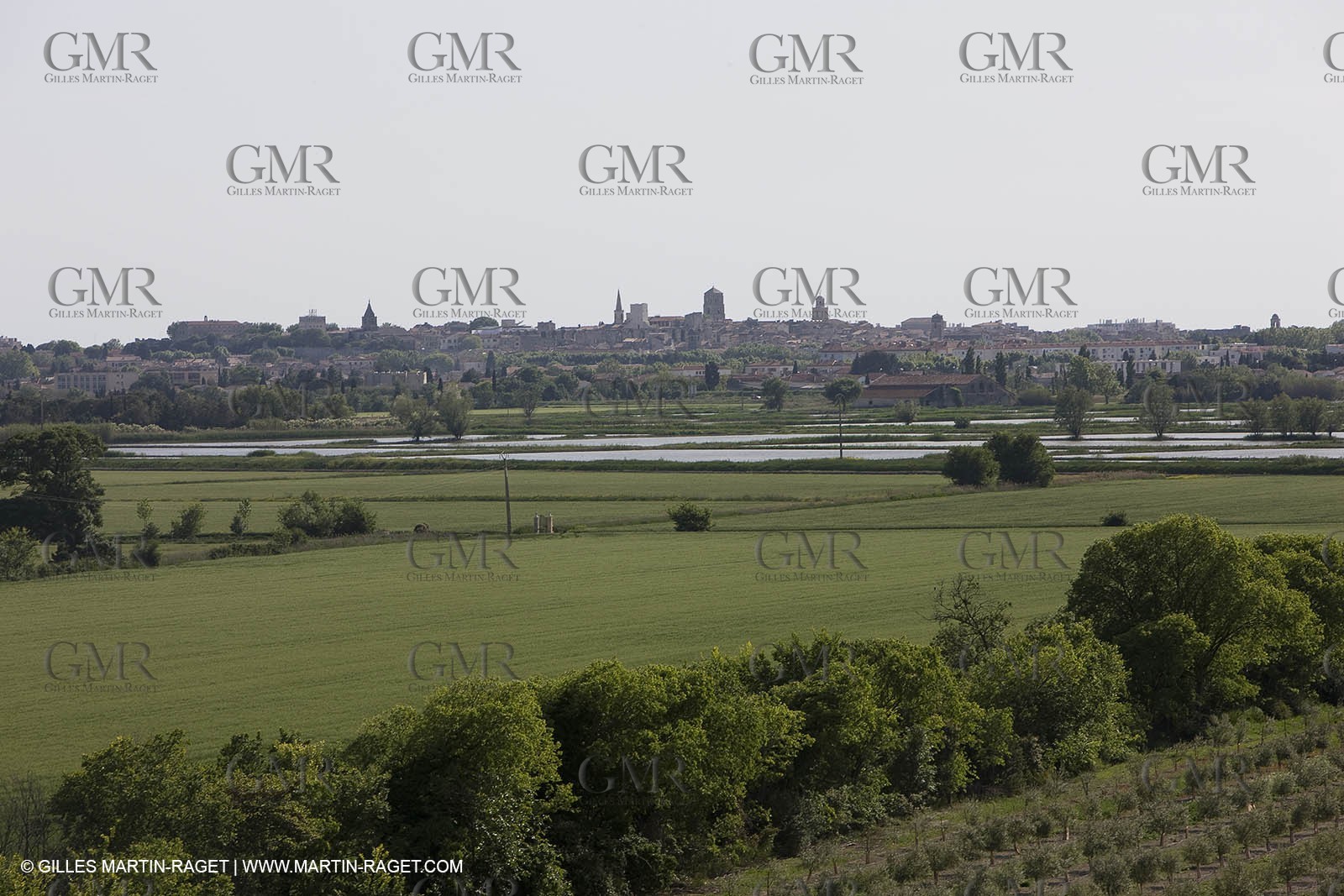 04 05 2008 - Arles (FRA,13)  - Montmajour Abbeye