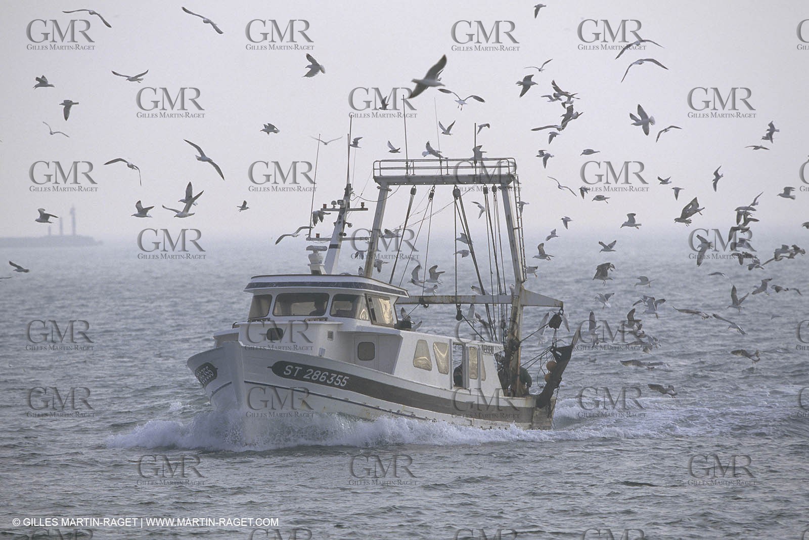 Pêche, barques, pointus, pêcheurs