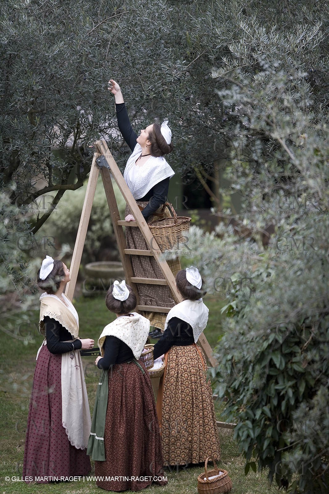 18 02 2007 - Saint Rémy de Provence - Queen of Arles in the Alpilles