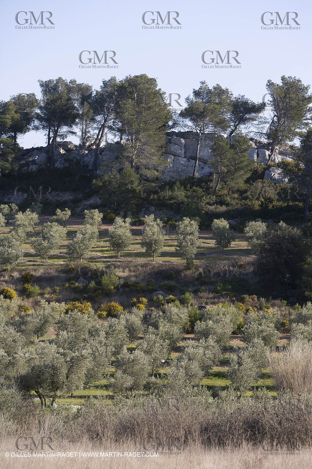 16 02 2008 - Les Baux de Provence (FRA, 13) - Alpilles hills landscapes