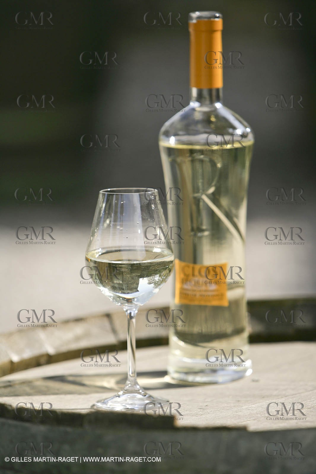 28 02 2008 - Cabasse (FRA, 83) - Domaine du Lac vines