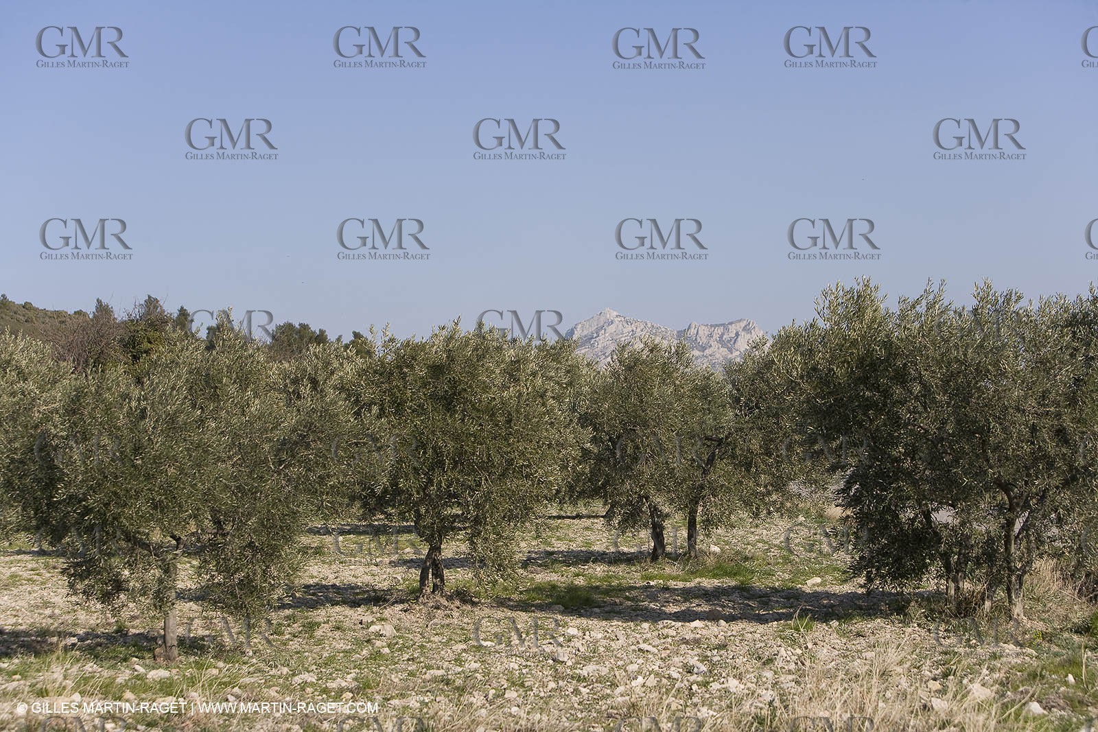16 02 2008 - Les Baux de Provence (FRA, 13) - Alpilles hills landscapes