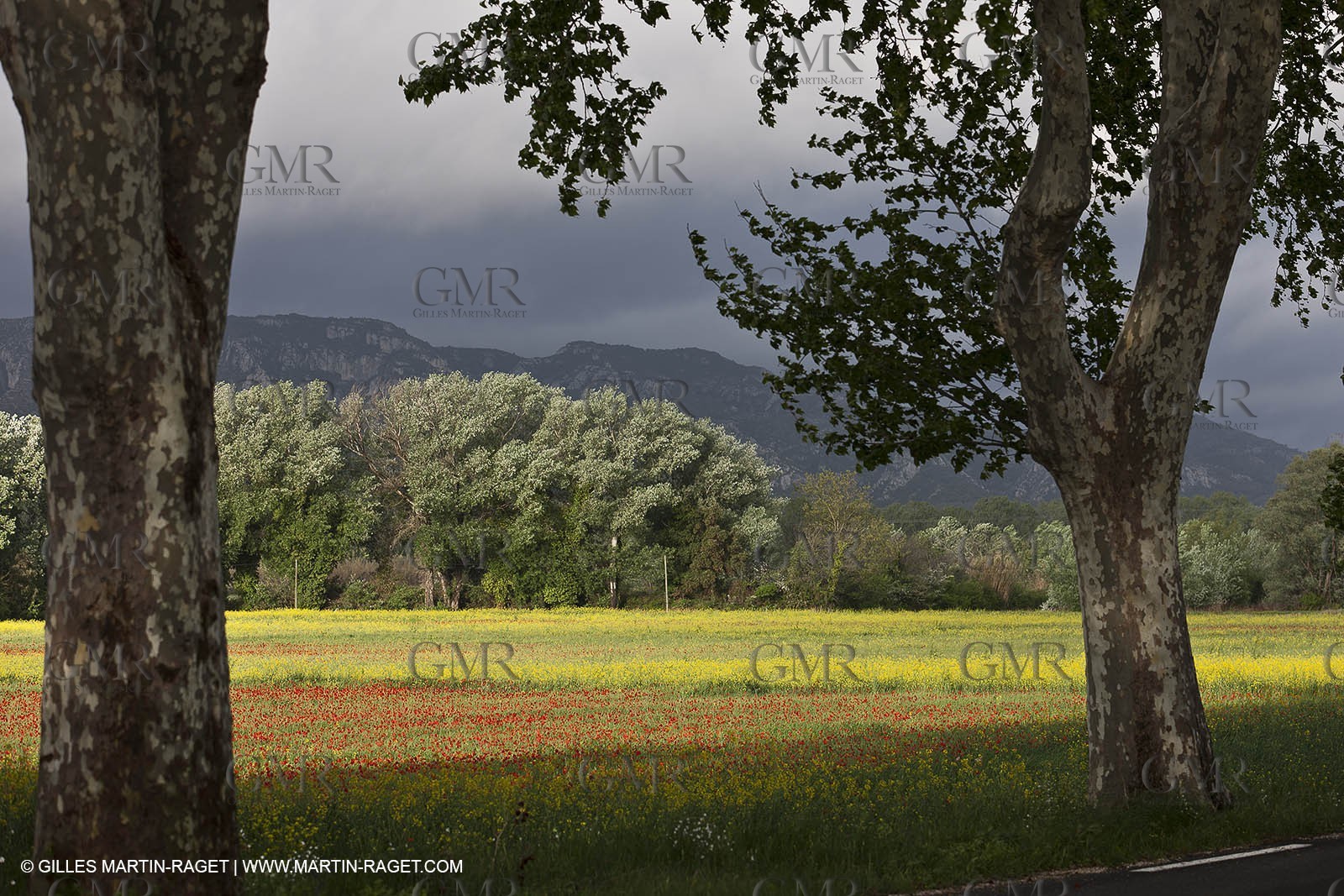 29 04 2012 ( Saint Rémy de Provence (FRA, 13) - Chaîne des Alpilles vers Romanin