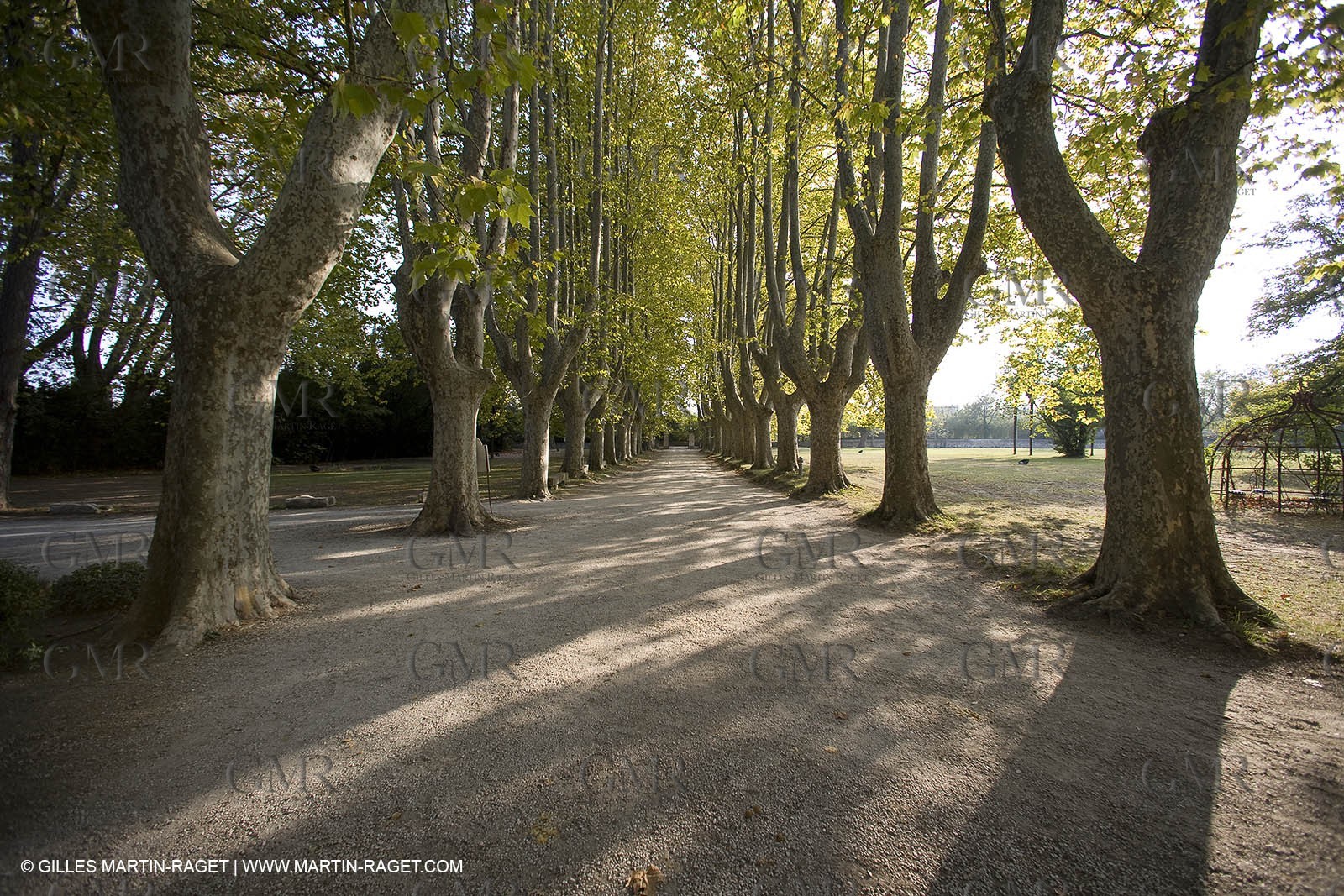 28 10 2007 - St Rémy de Provence (FRA,13) - Chateau des Alpilles