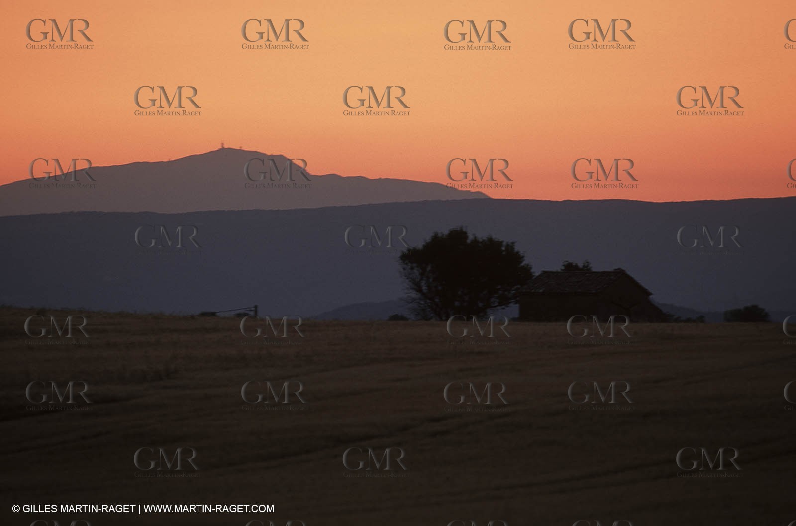 Hgher Provence - Lavender fields