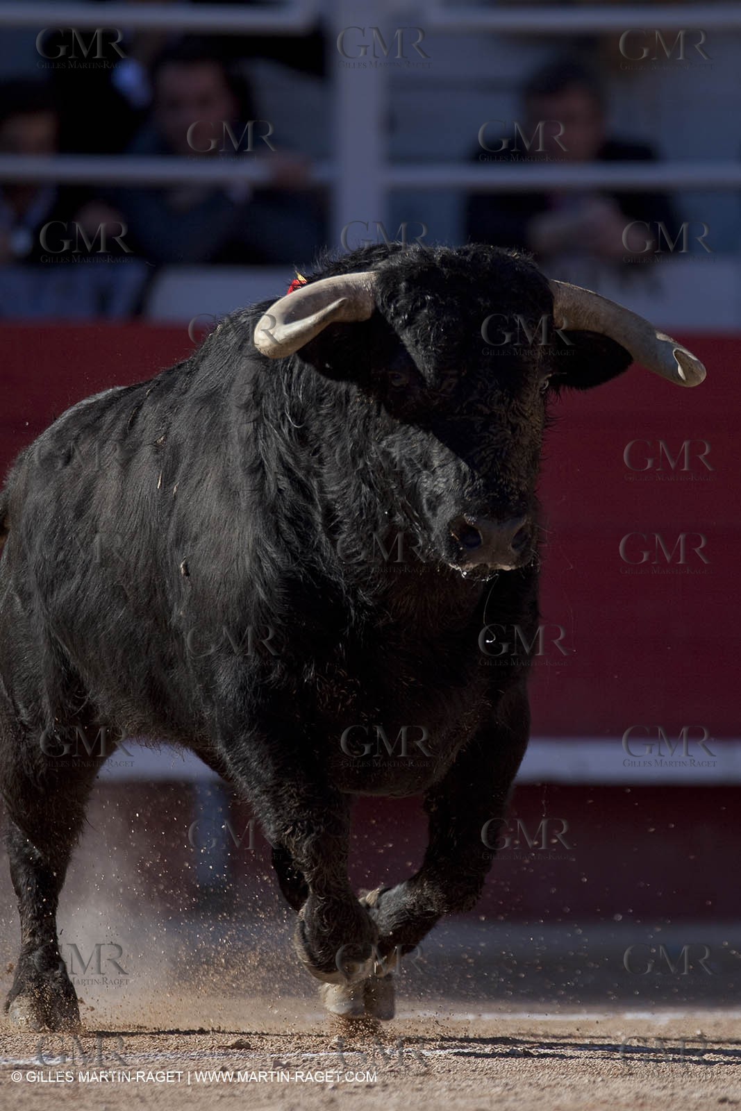 Feria201D3PM_0784.jpg