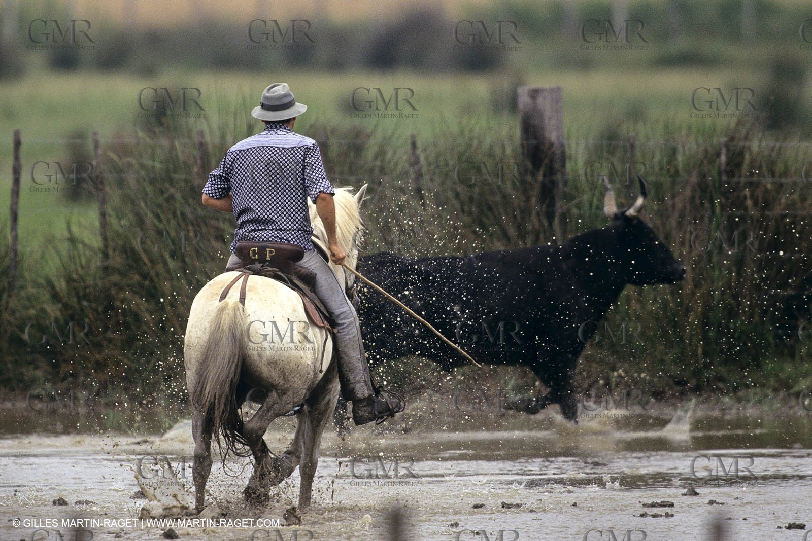 Camargue (FRA,13) - Gardians