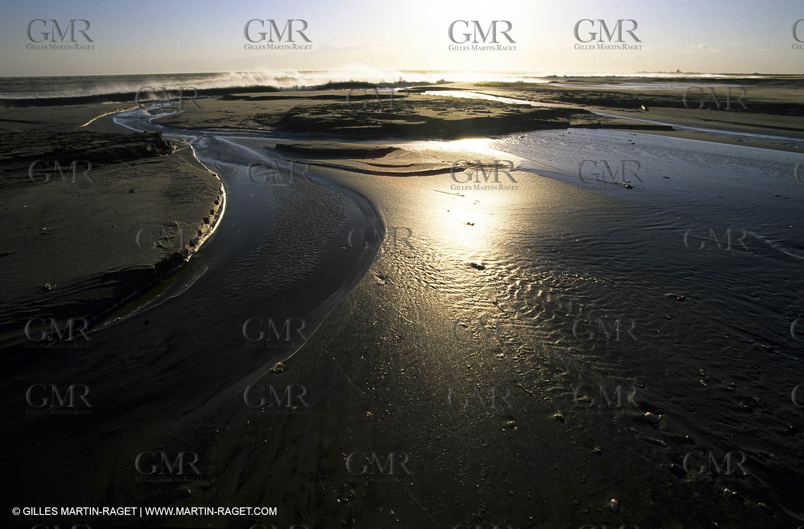 Camargue beach