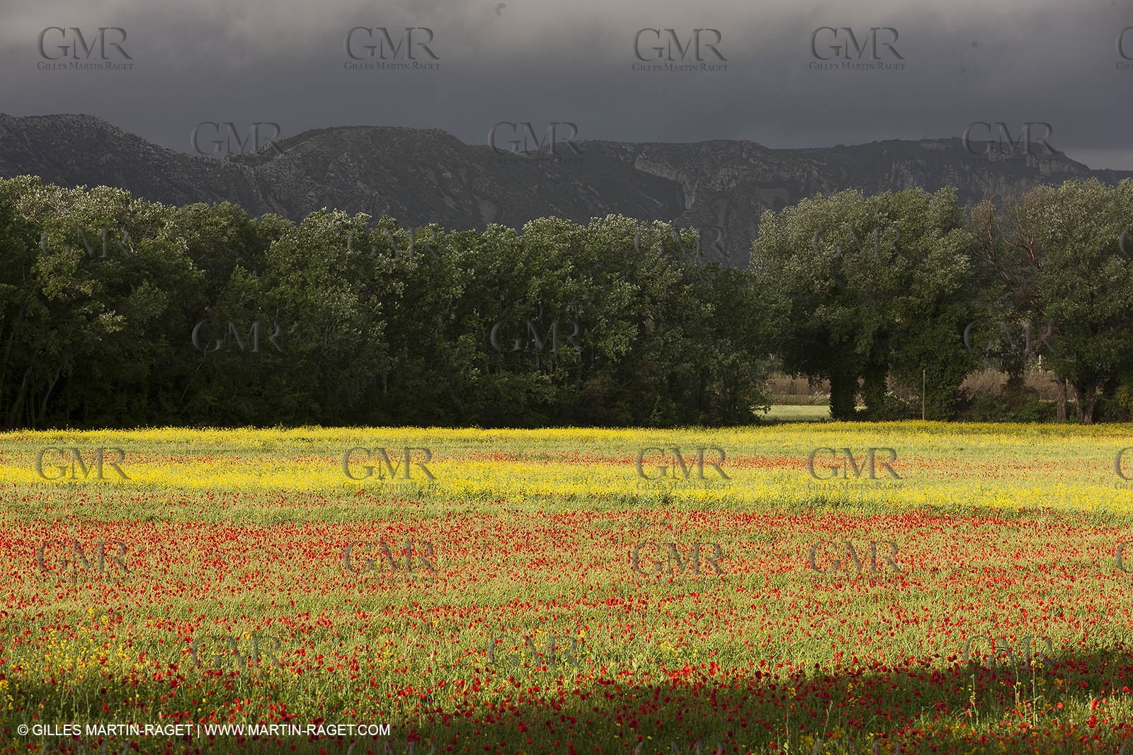 29 04 2012 ( Saint Rémy de Provence (FRA, 13) - Chaîne des Alpilles vers Romanin