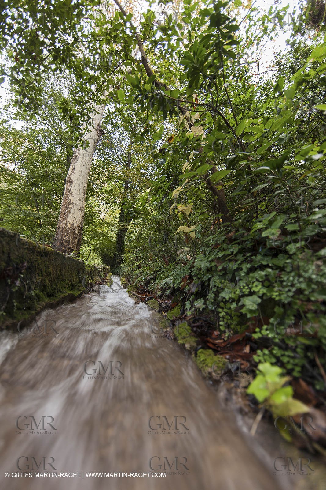 23 10 2012 - Gemenos (FRA) - Départemental Park of Saint Pons valley