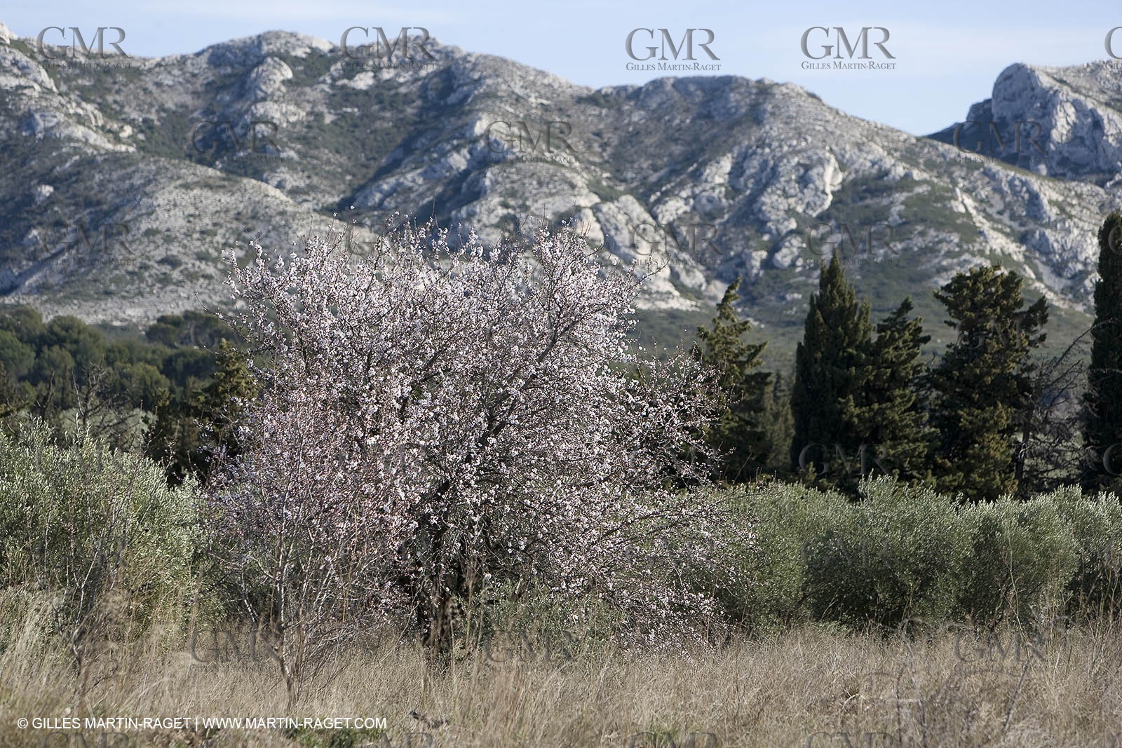 05 02 2008 - Arles (FRA, 13) - Arles surroundings landscapes