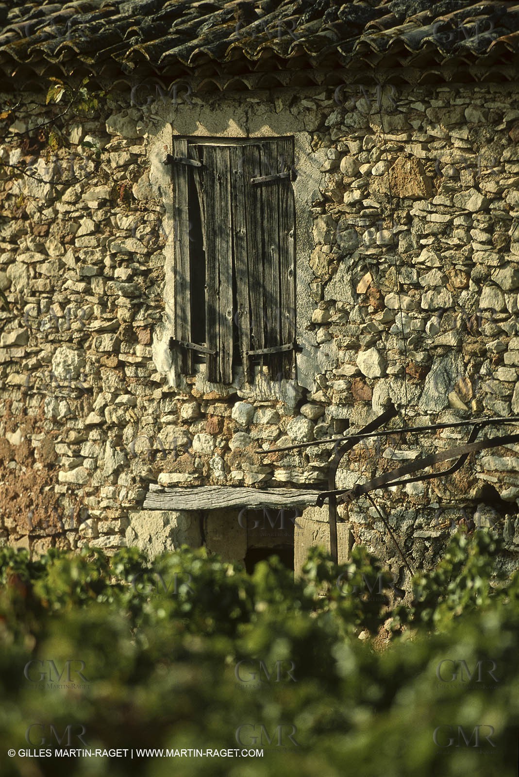 Luberon (FRA,84), Fall colors