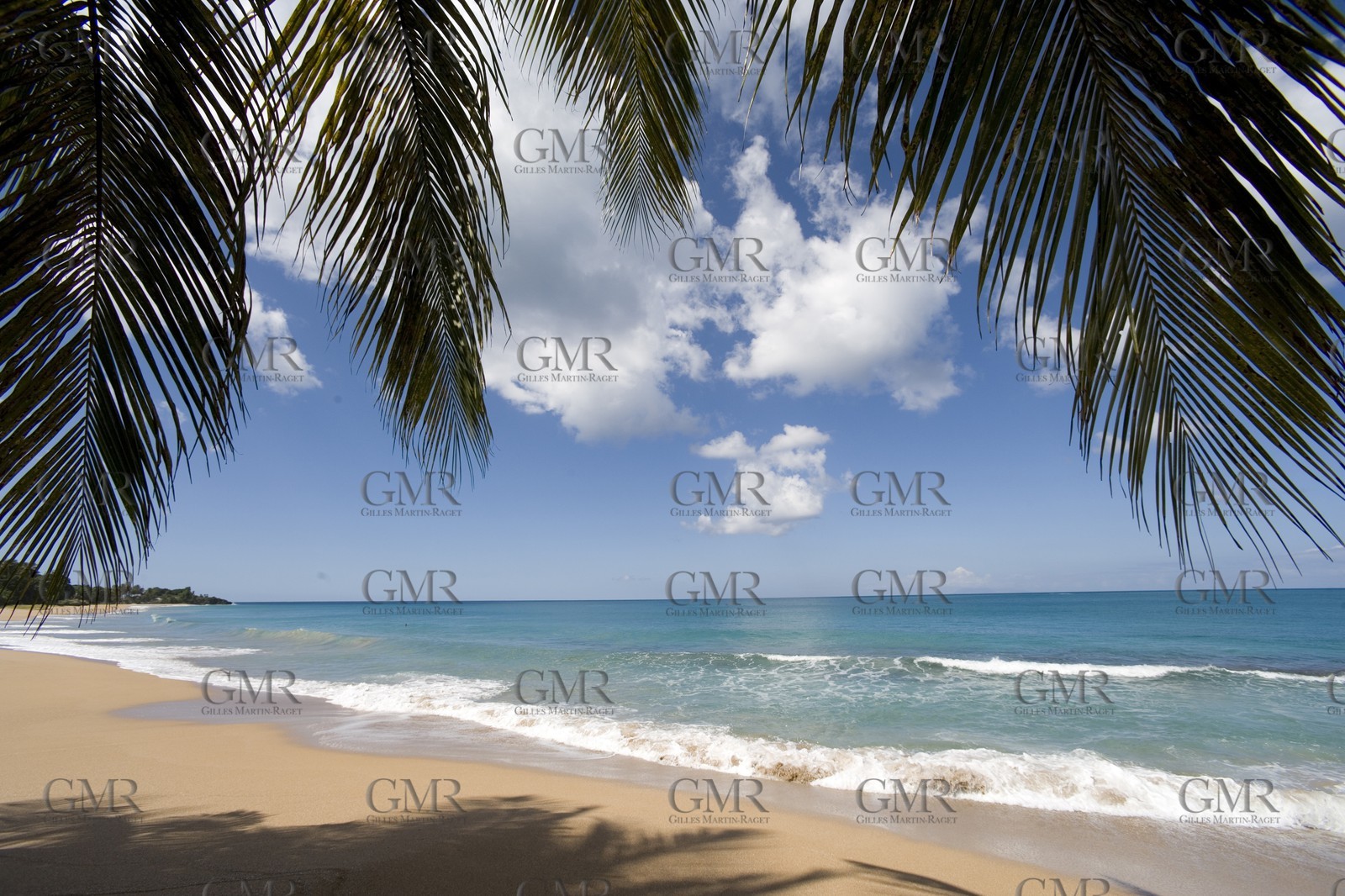 06 11 2006 - Pointe à Pitre Guadelupe (FRA) - Route du Rhum 2006 arrival Thelier Claude (Region Guadeloupe)