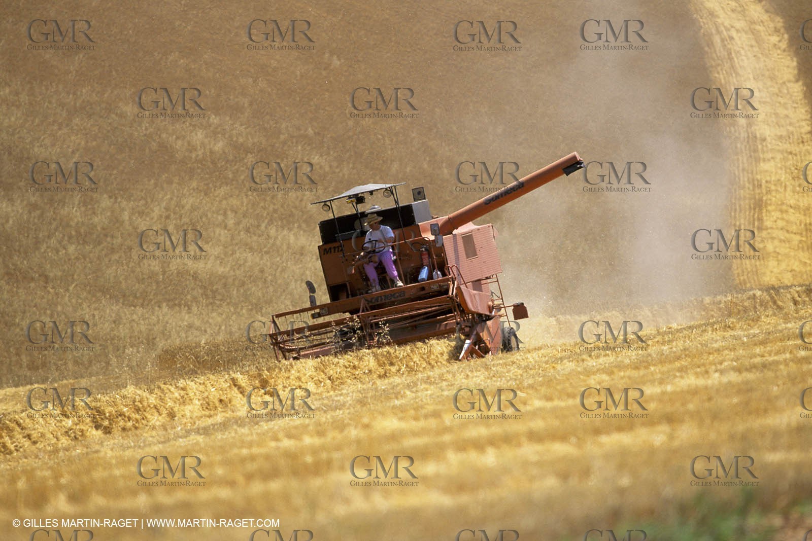 Harvest on Valensole plateau