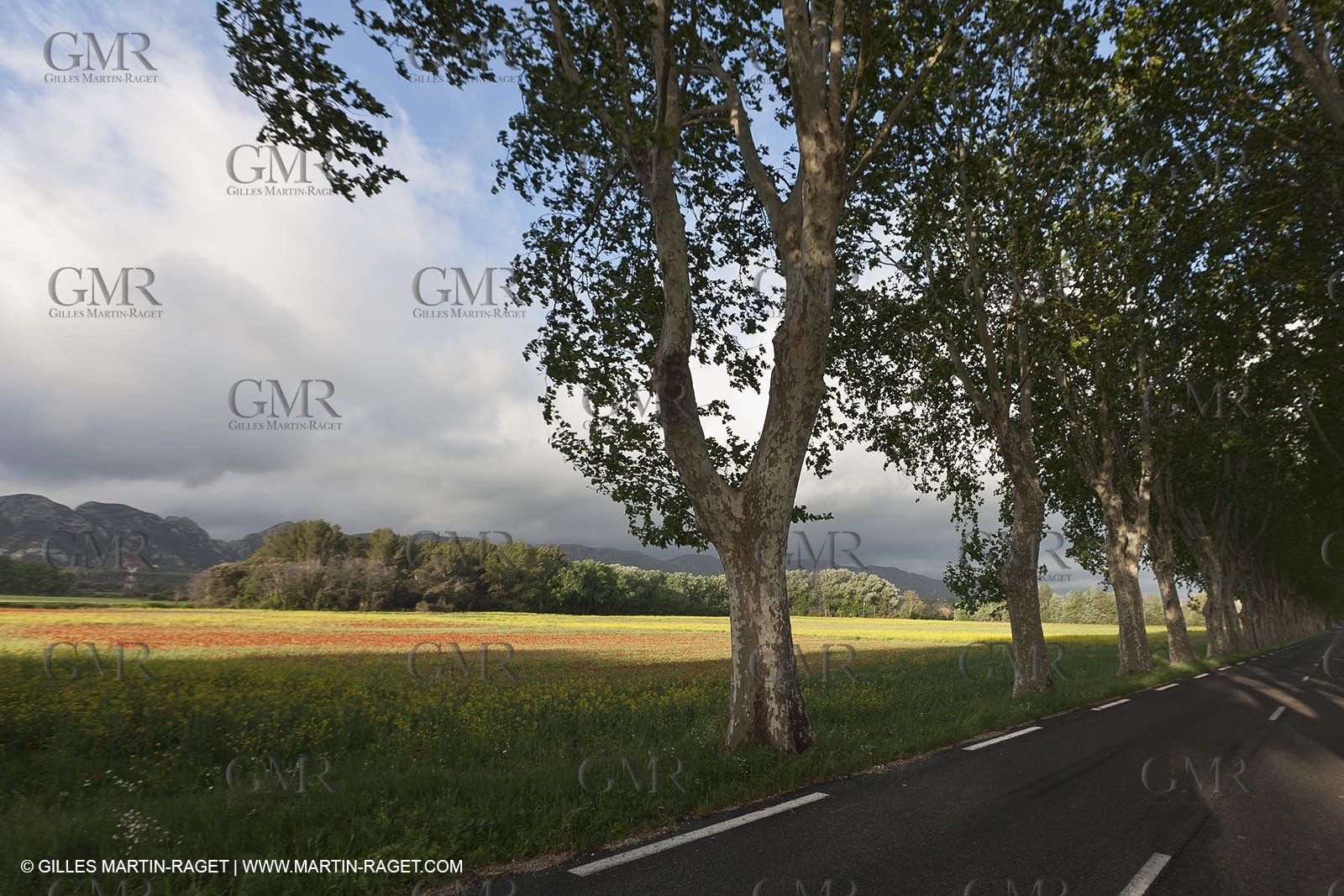 29 04 2012 ( Saint Rémy de Provence (FRA, 13) - Chaîne des Alpilles vers Romanin