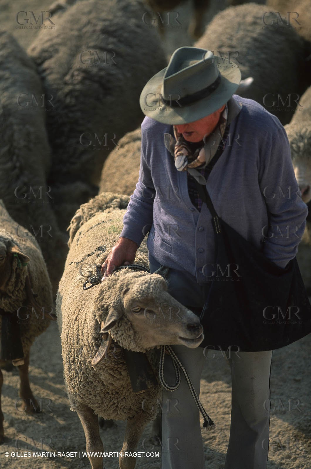 Saint Rémy de Provence (FRA,13) - Sheep stocks migration Fest