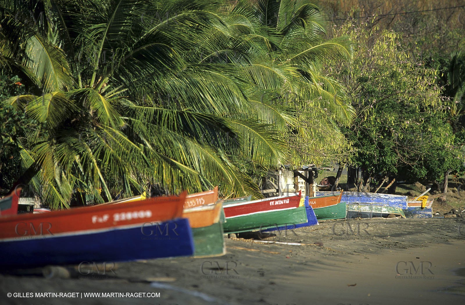 Martinique - Caribbean