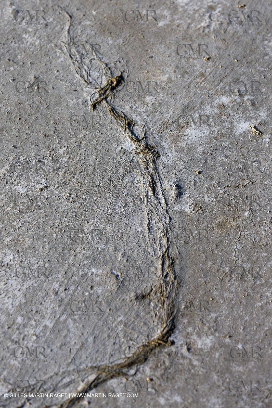 23 10 2014, Salins de Giraud (FRA,13), Salt & Speed 2014, Charlotte Consorti