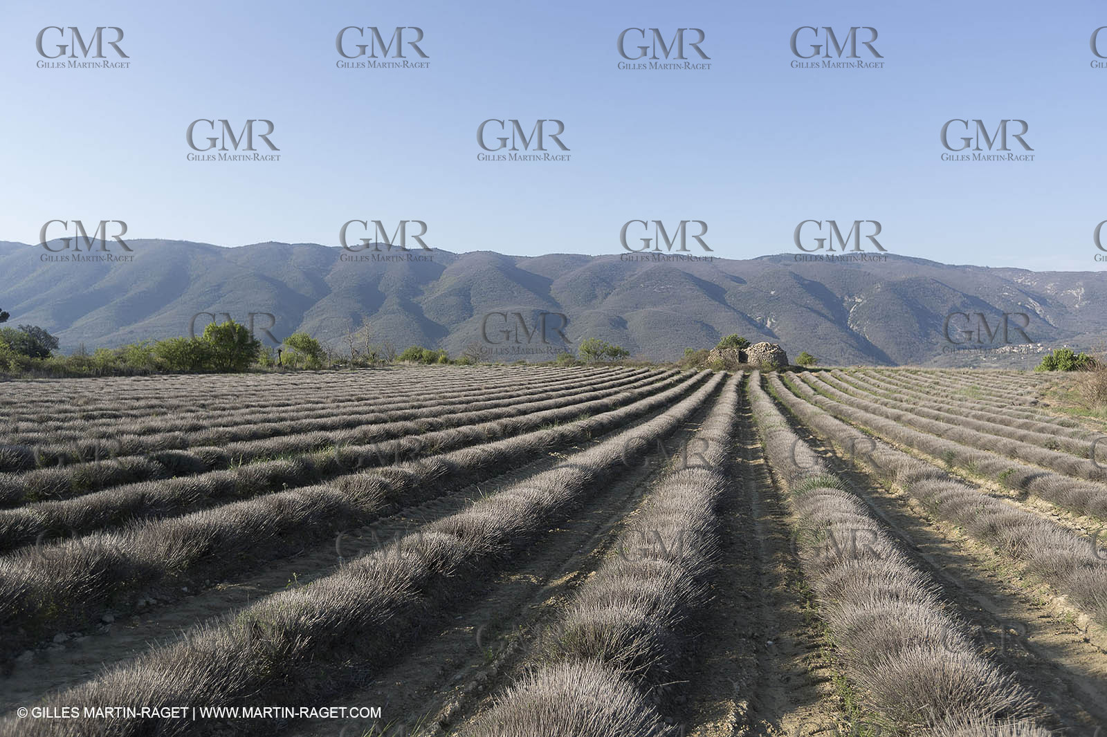 19 04 2018, Saint Martin de Castillon (FRA,84)