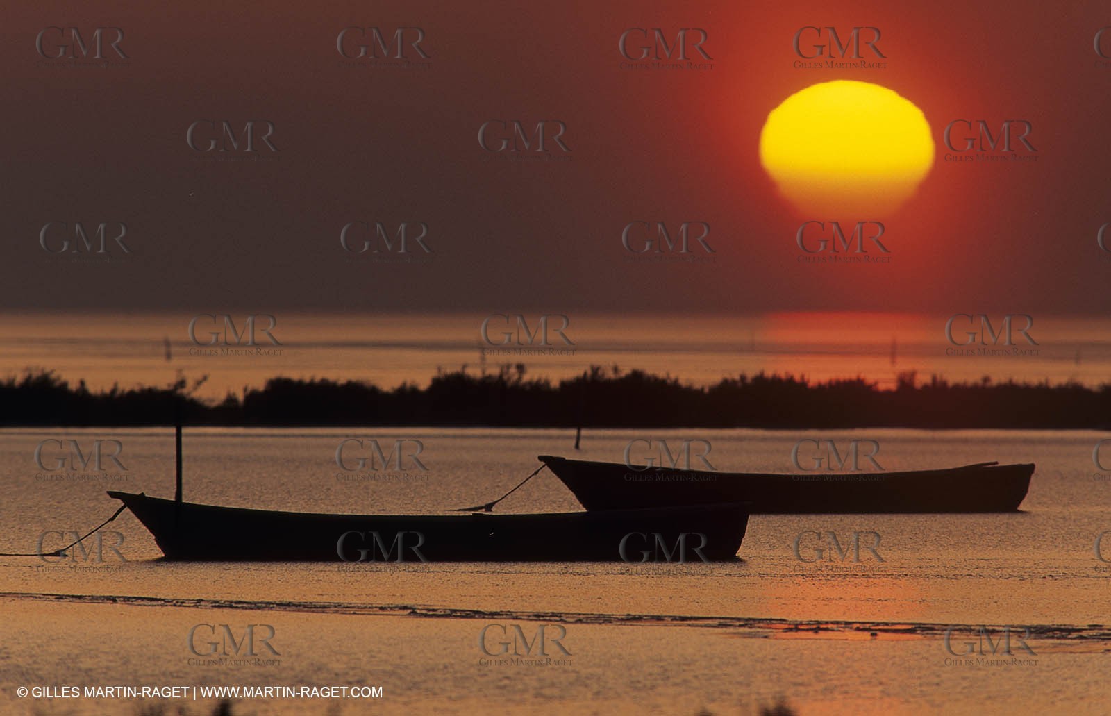Camargue (FRA,13) - Gardians