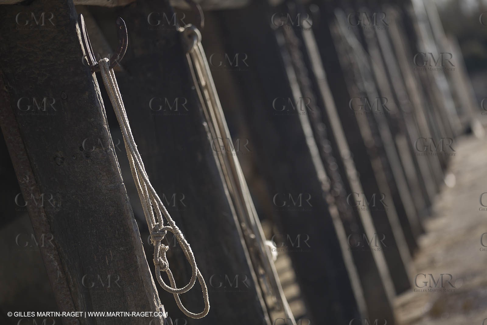 26 12 2013 - Les Saintes Maries de la Mer (FRA,13) - Horse riding at Cabanes de Cacharel