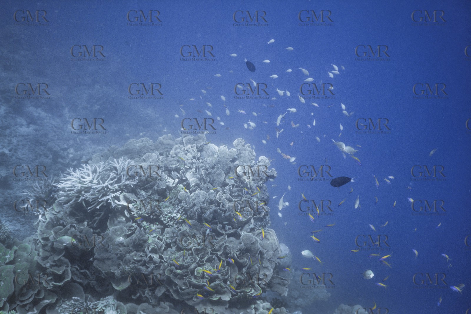 Destinations, Maldives