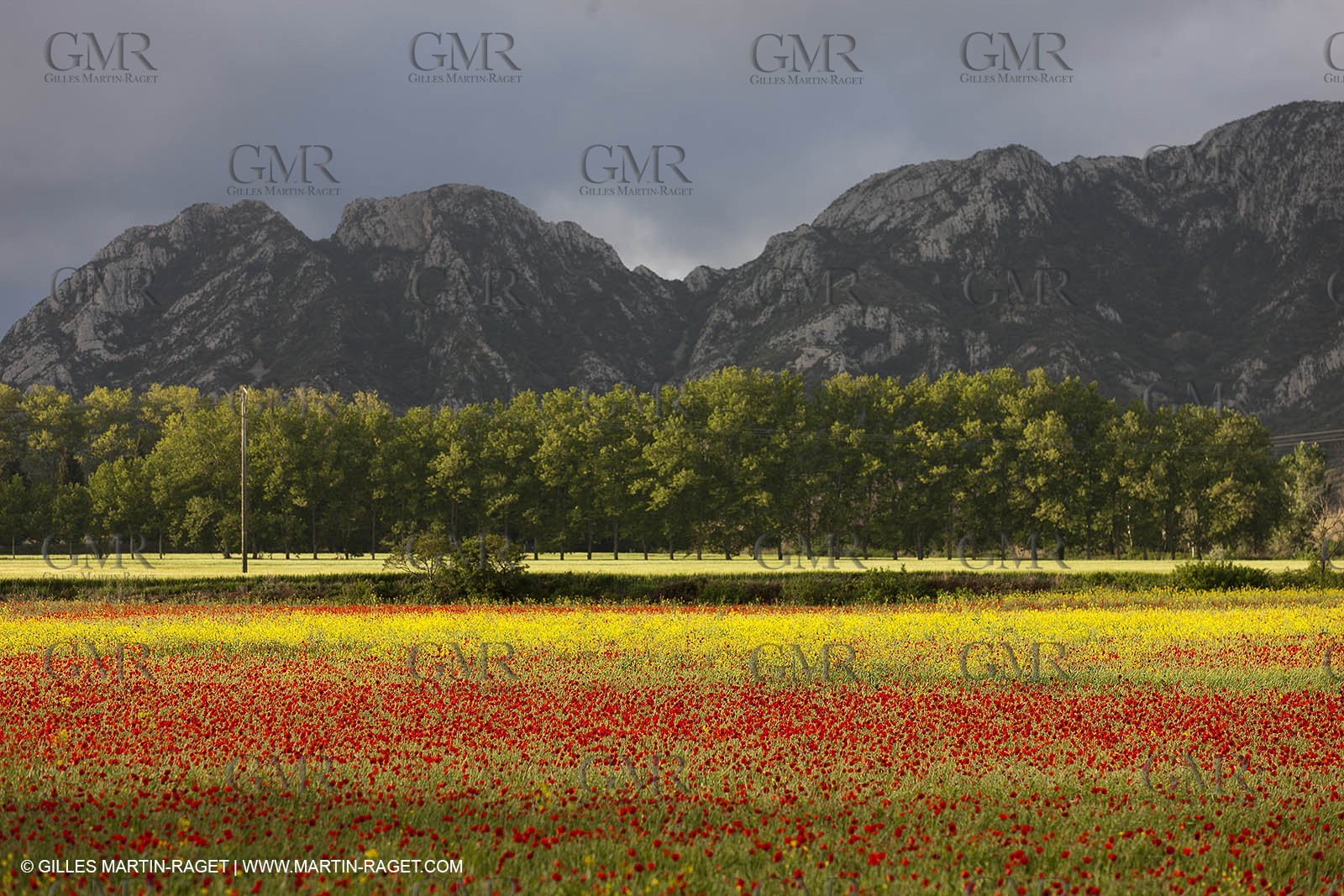 29 04 2012 ( Saint Rémy de Provence (FRA, 13) - Chaîne des Alpilles vers Romanin