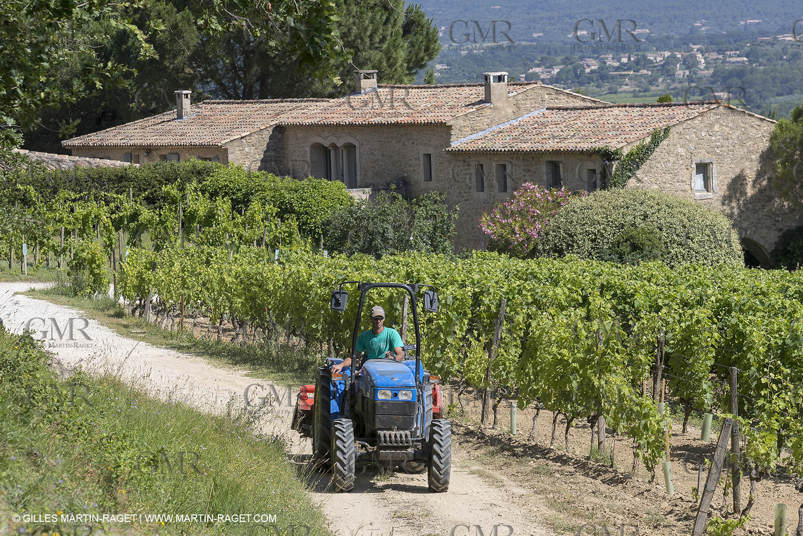 22 06 2018, Ménerbes (FRA,84), Domaine de la Citadelle