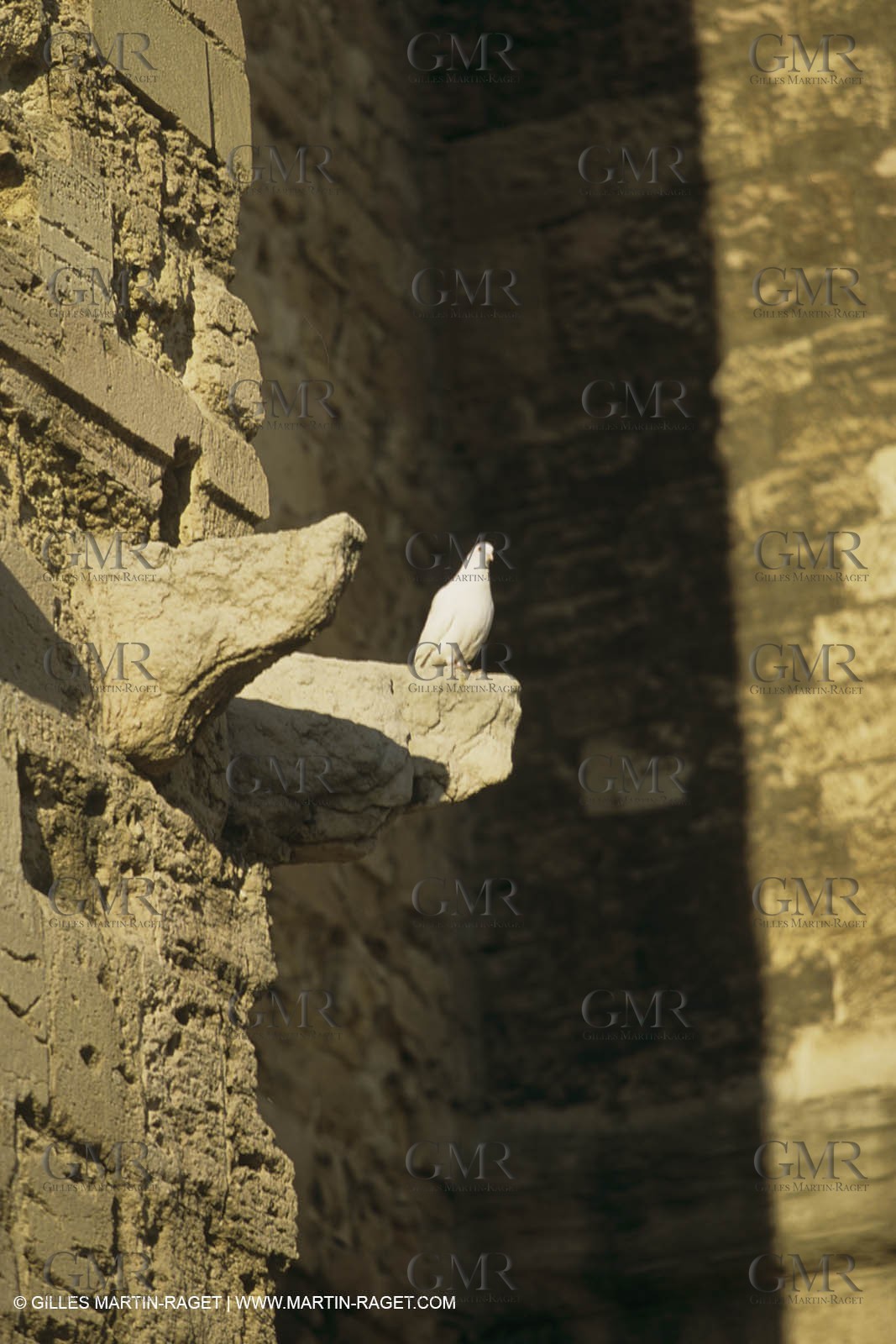 Marseille historical heritage (check keywords for more infos)