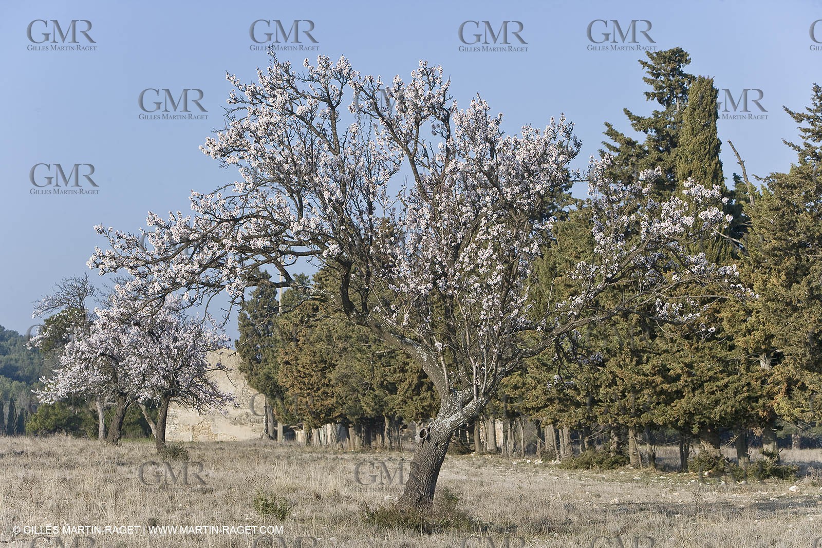 16 02 2008 - Saint Rémy de Provence (FRA, 13) - Alpilles hills landscapes