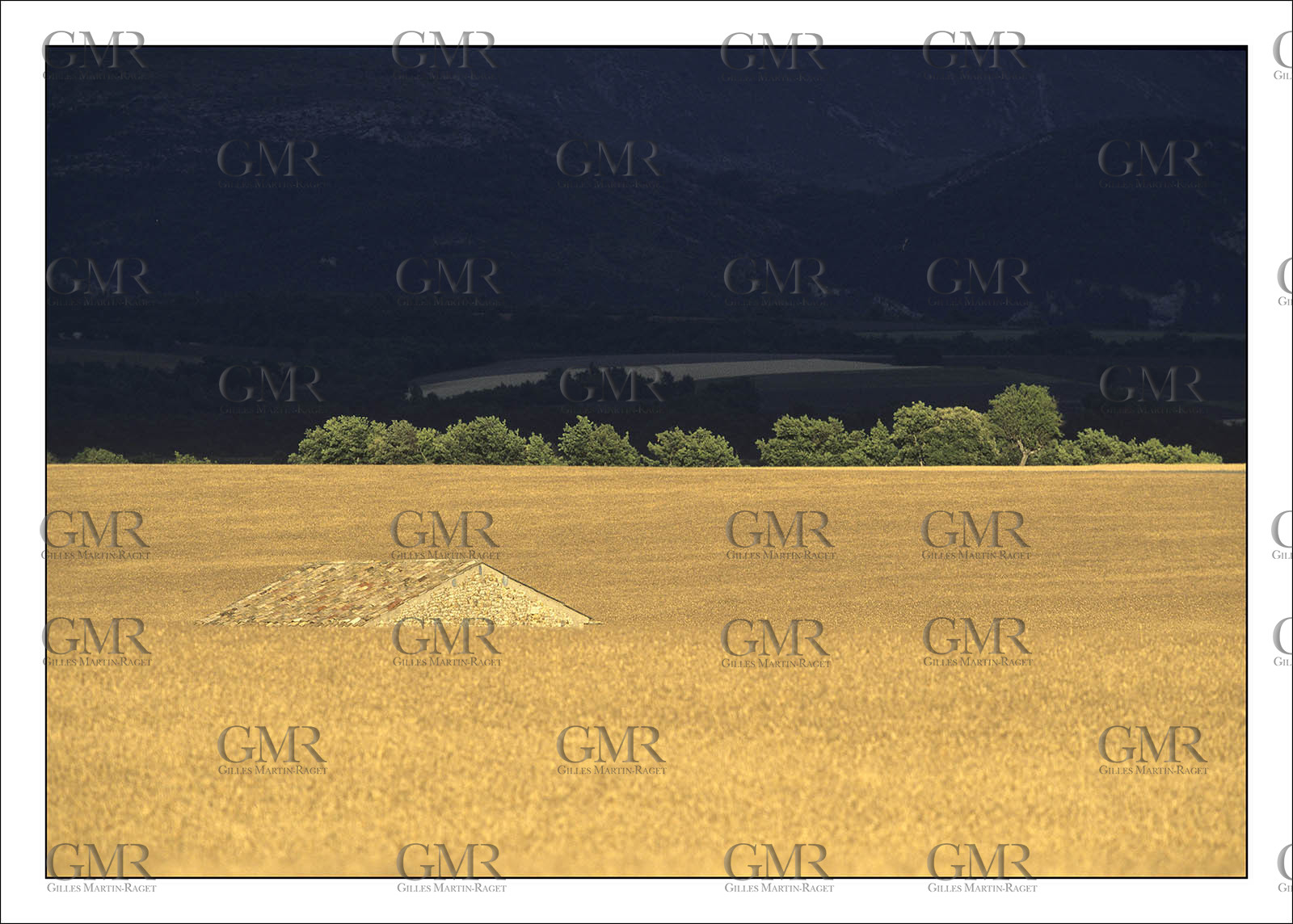 Product: in house made quality print on 8 ultrachome colors Epson ink Jet printer.Available sizes: . 30x40 cm. 50x70 cm. 80x120 cmAvailable papers: . Standard 250 gr glossy paper print, black streak, white margin, no signature. Top quality glossy 290 gr. paper, black streak, white margin, checked and signed by the author. Fine Art print (signed, numbered, stamped, registered) on demand. Other supports (Canvas, Acrylic, Metal) on demandPackaging: cylindric reinforced tubeShipping options: regular mail or Shipping companyClick on the basket icon to select your options and start the online ordering process