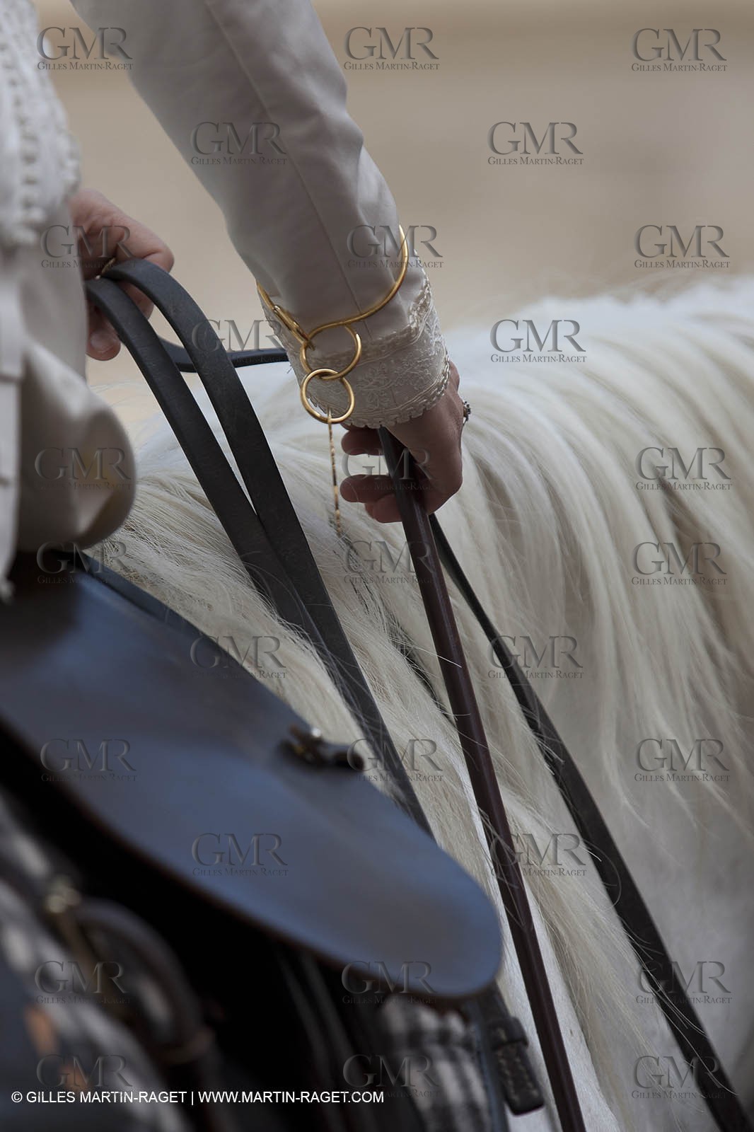 03 07 2011 - Arles (FRA,13) -  2011 Arles Costume celebration