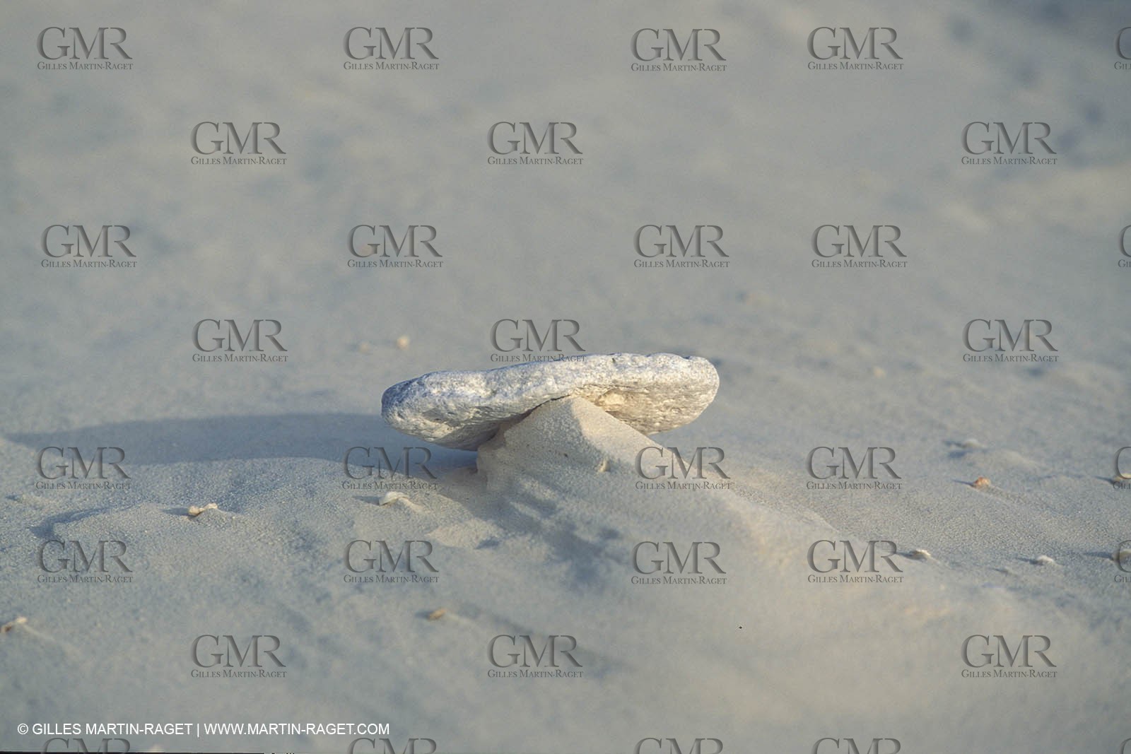 Shells