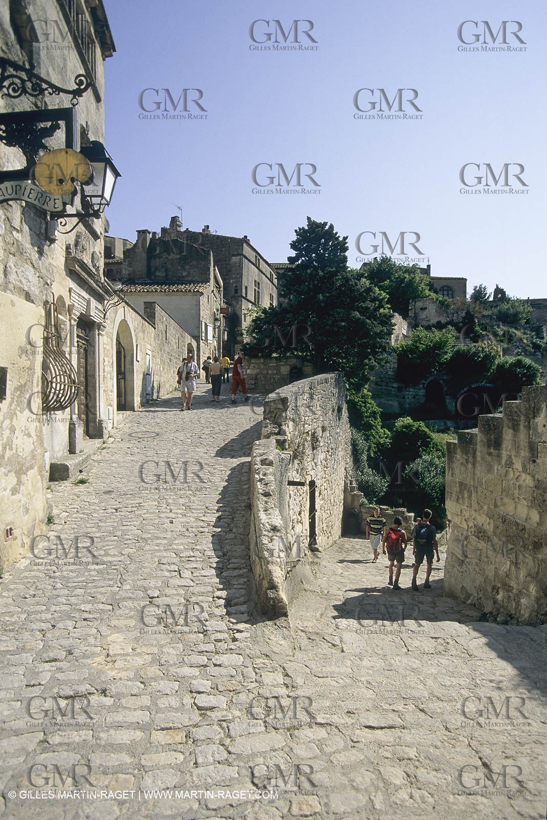 France, Provence, paysage des Alpilles, Alpilles landscapes, Eygalières