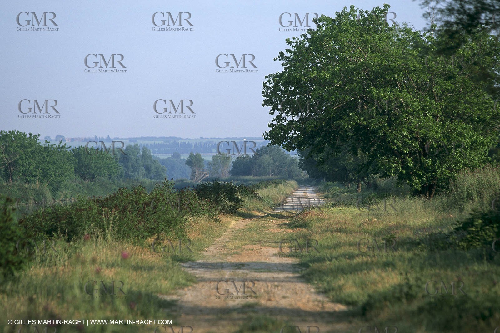Camargue (FRA,13) - Little Camargue