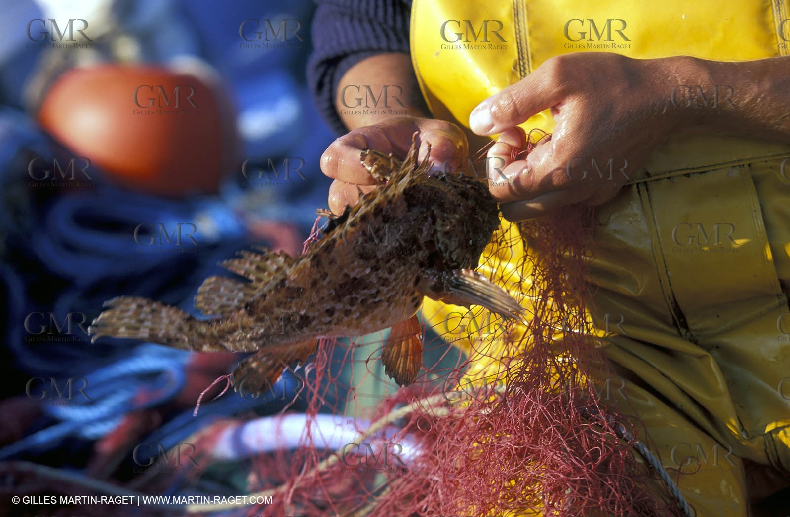 Saint Tropez - local fishing