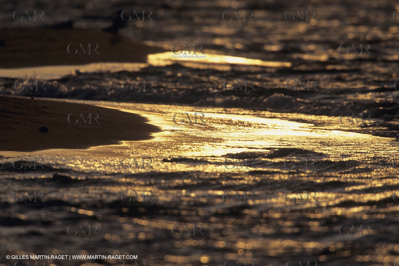 France, Provence, Camargue, Nature, marais, plage, beaches, marshes