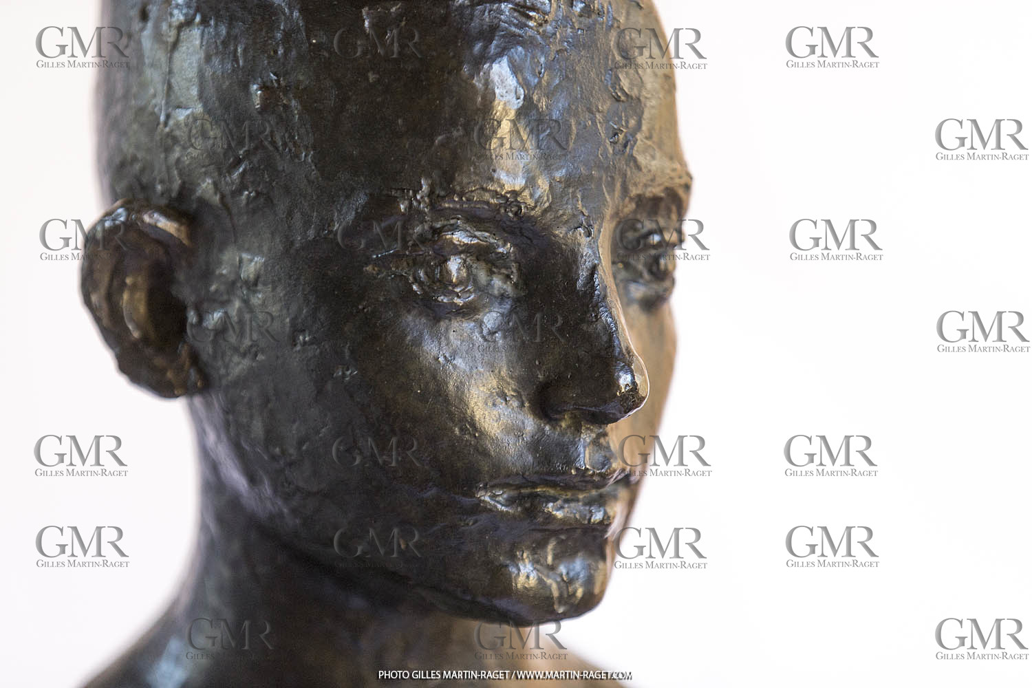 06 03 2016, Saint-Etienne du Grès (FRA,13), Oeuvre de Germaine Richier, Loretto I 1934, Bronze patiné foncé, Numéroté 4 6, fondeur Susse, Paris, 160 x 52 x 35 cm, Collection particulière