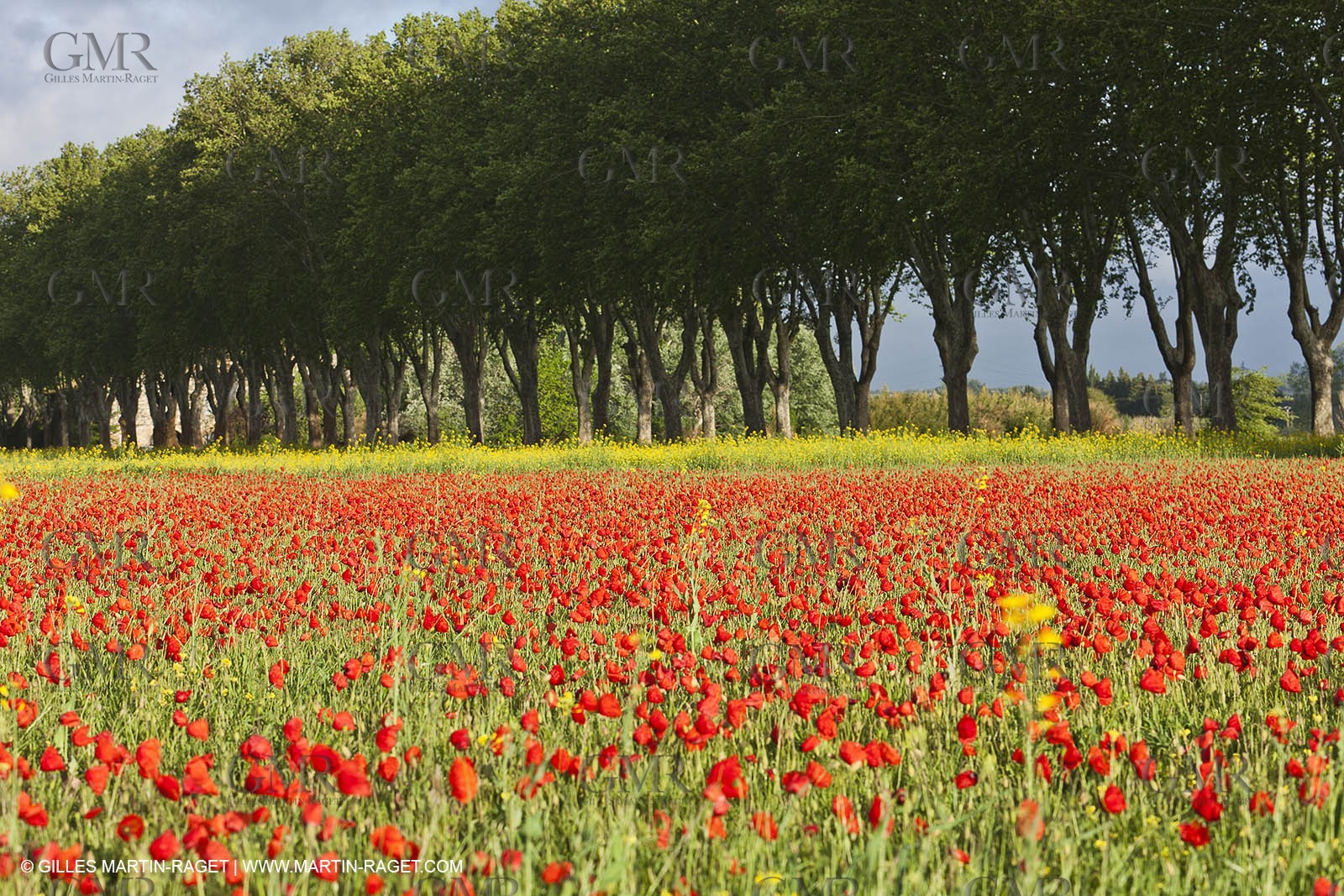 29 04 2012 ( Saint Rémy de Provence (FRA, 13) - Chaîne des Alpilles vers Romanin