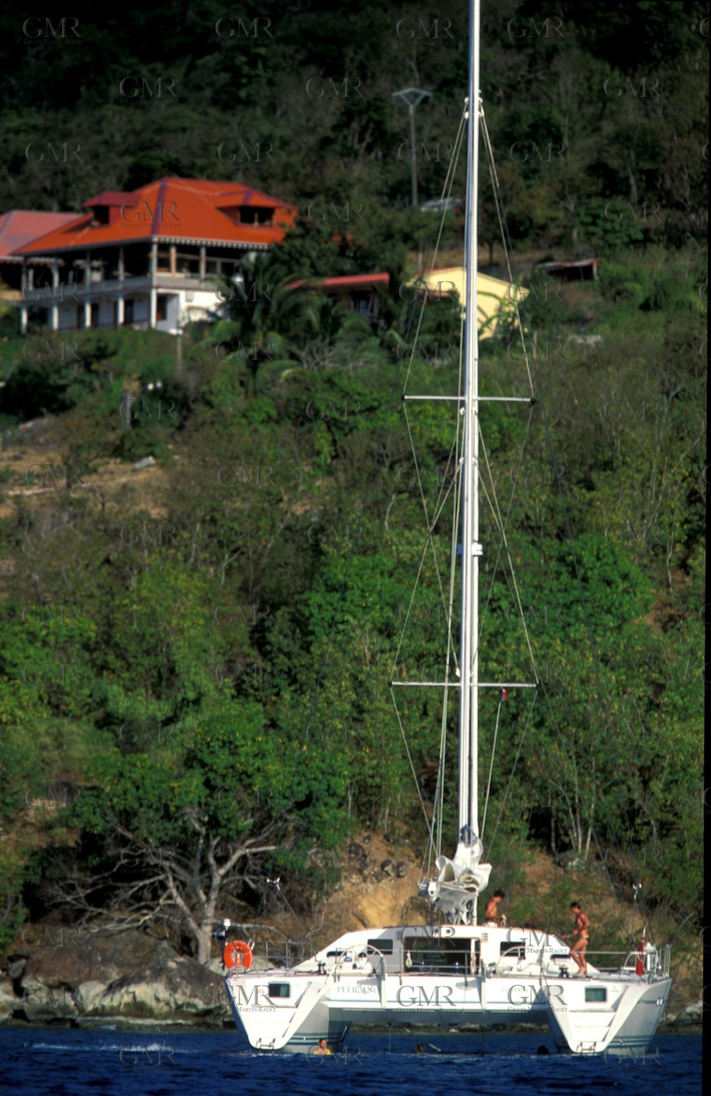 Guadelupe - Caribbean