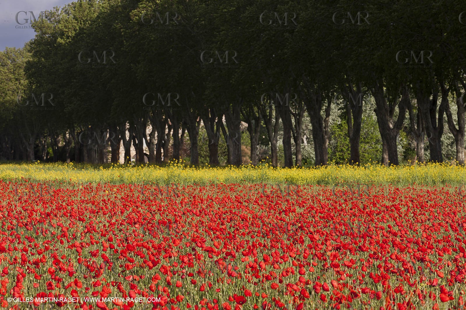 29 04 2012 ( Saint Rémy de Provence (FRA, 13) - Chaîne des Alpilles vers Romanin