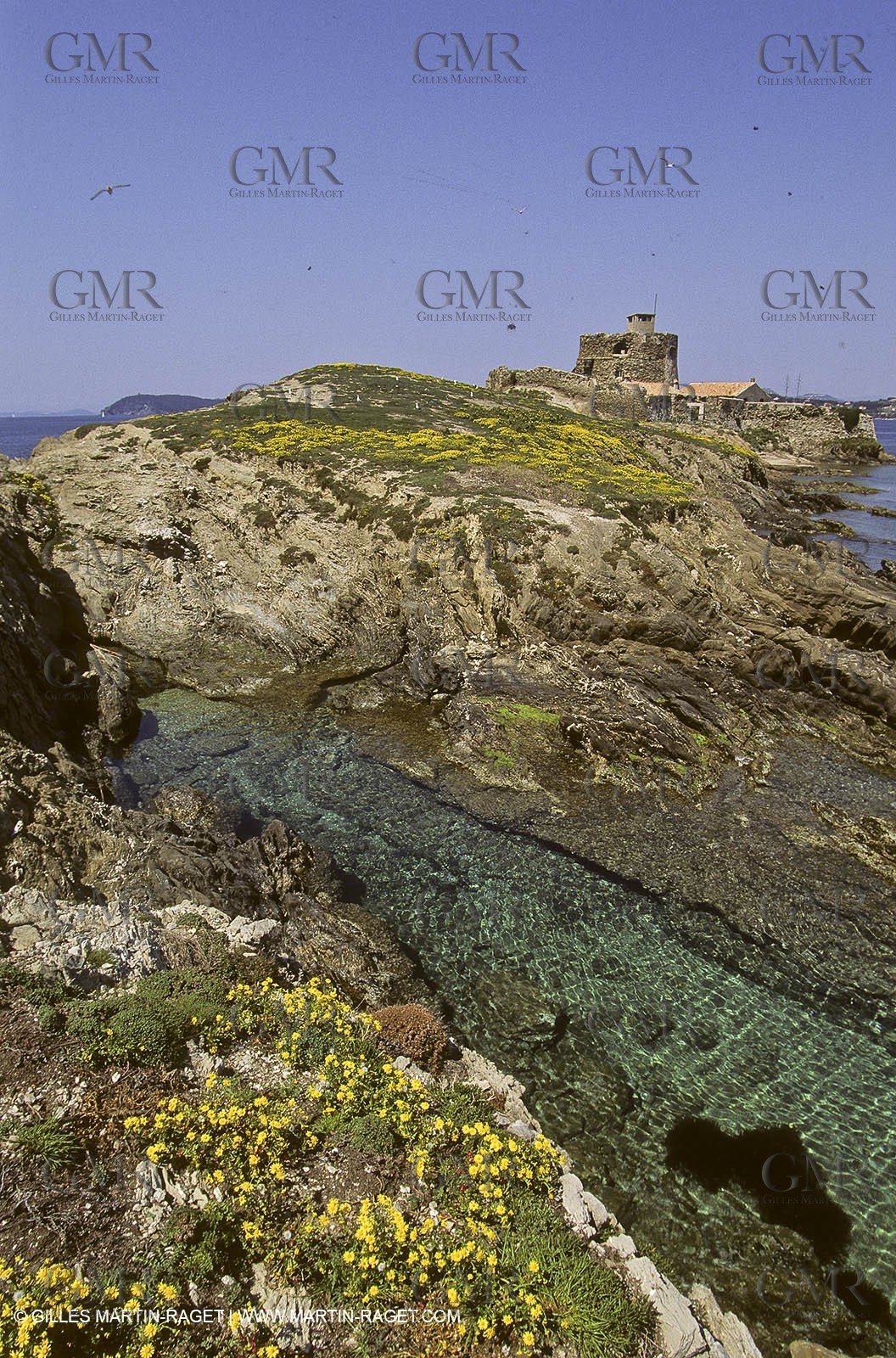 France - Var - 83 - Hyeres islands - Porquerolles