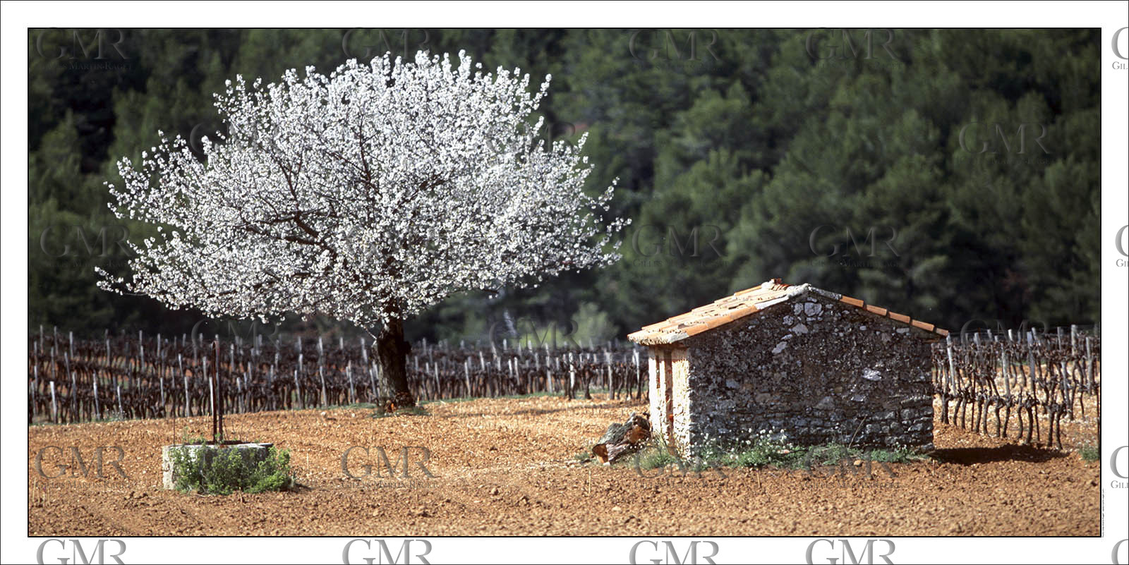 Product: in house made quality print on 8 ultrachome colors Epson ink Jet printer.Available sizes: . 50 x 100 cm. 100 x 200 cmAvailable papers: . Standard 250 gr glossy paper print, black streak, white margin, no signature. Top quality glossy 290 gr. paper, black streak, white margin, checked and signed by the author. Fine Art print (signed, numbered, stamped, registered) on demand. Other supports (Canvas, Acrylic, Metal) on demandPackaging: cylindric reinforced tubeShipping options: regular mail or Shipping companyClick on the basket icon to select your options and start the online ordering process