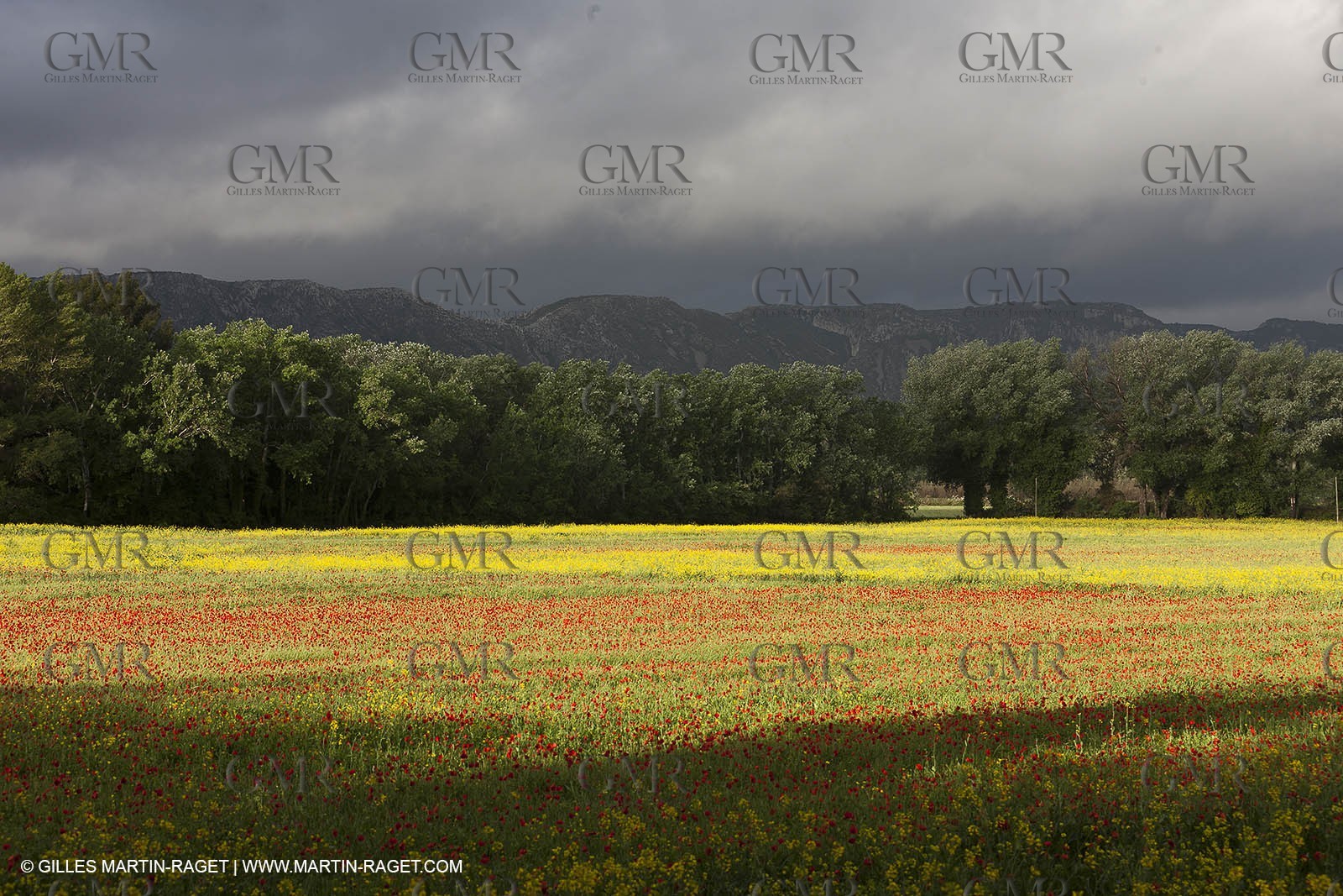 29 04 2012 ( Saint Rémy de Provence (FRA, 13) - Chaîne des Alpilles vers Romanin